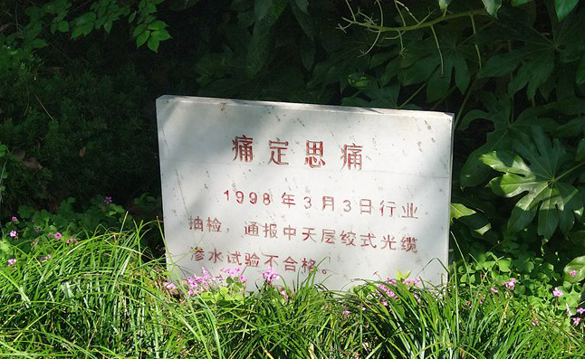Z6ʱ(й)-ٷվ
